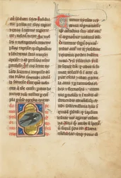 Une hirondelle